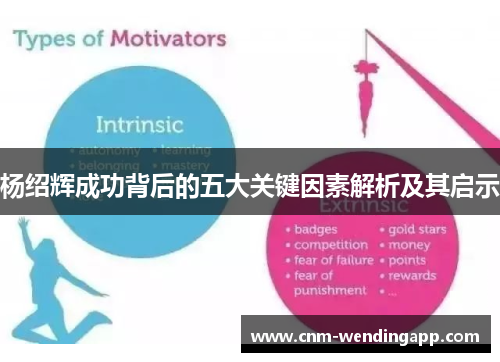 杨绍辉成功背后的五大关键因素解析及其启示