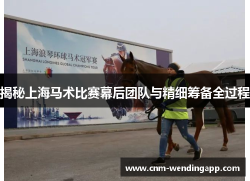 揭秘上海马术比赛幕后团队与精细筹备全过程
