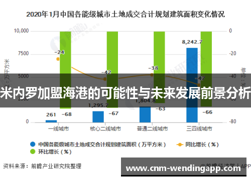 米内罗加盟海港的可能性与未来发展前景分析
