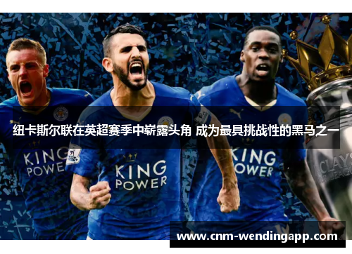 纽卡斯尔联在英超赛季中崭露头角 成为最具挑战性的黑马之一